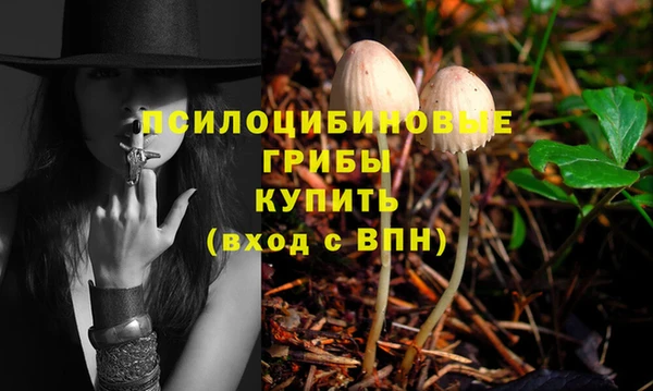 гидра Абинск