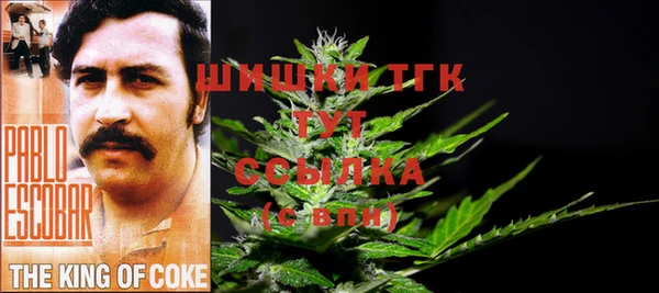 первитин Осинники